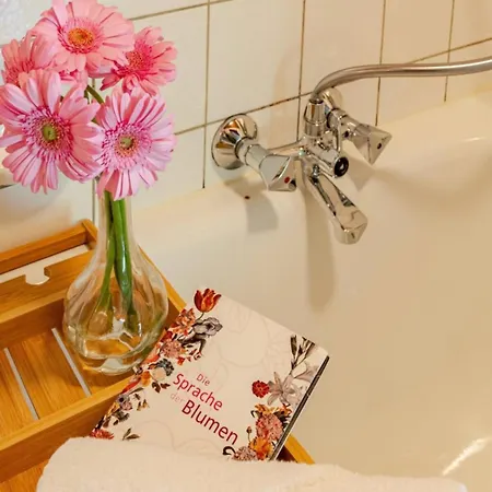 An Wanderwegen Gelegen Mit Terrasse Und Boxspringbett *