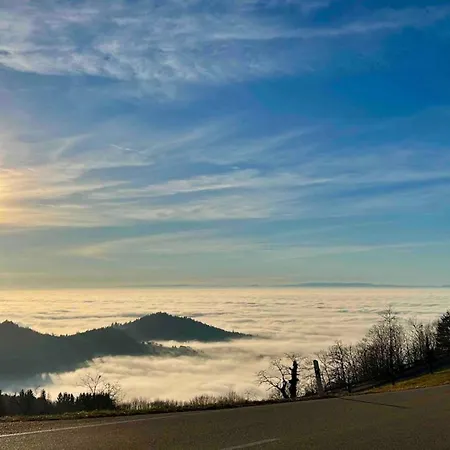 An Wanderwegen Gelegen Mit Terrasse Und Boxspringbett 萨巴赫瓦登
