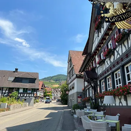 公寓 An Wanderwegen Gelegen Mit Terrasse Und Boxspringbett 萨巴赫瓦登